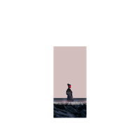 an image of a person standing on a rock in the ocean